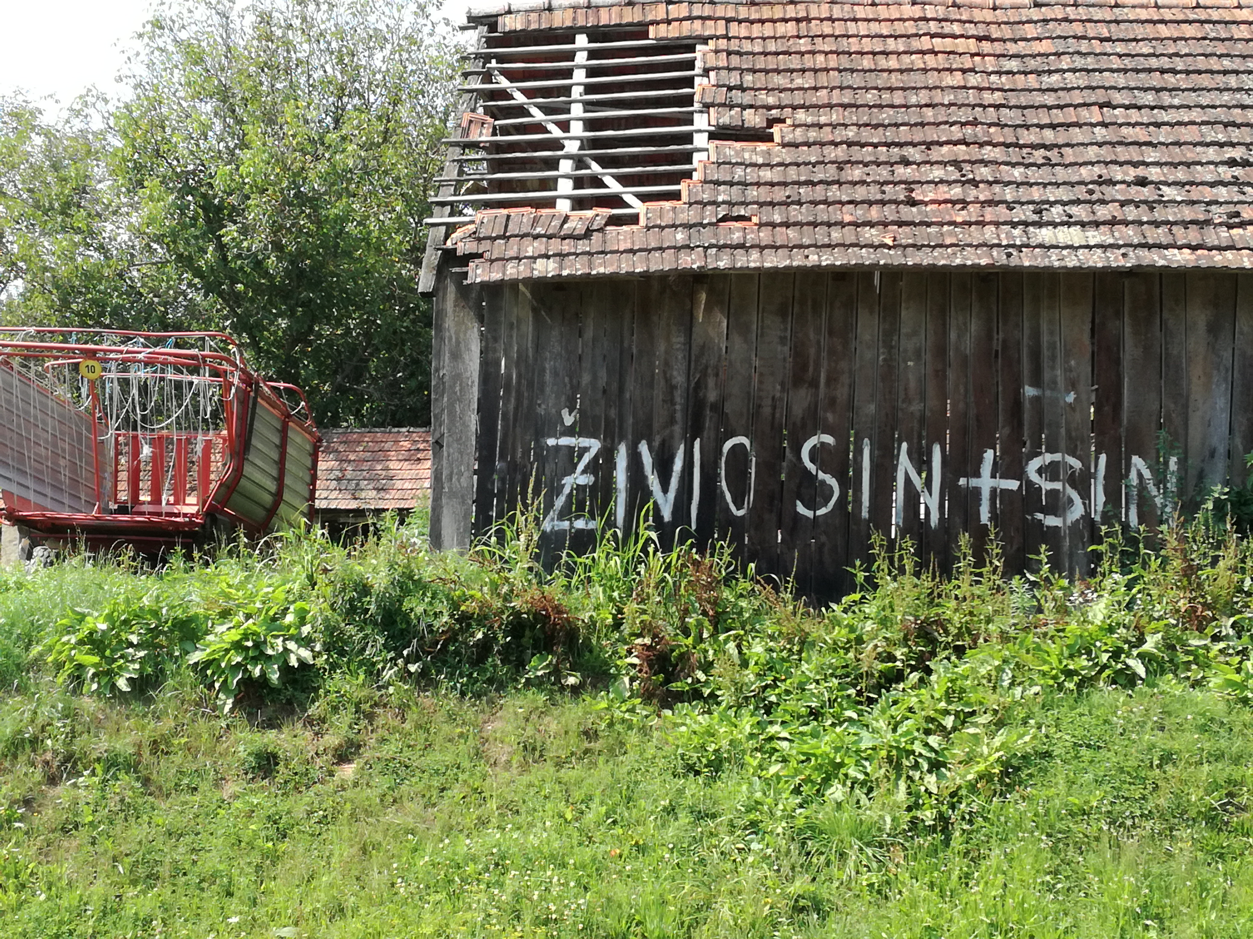 Živio sin i sin - Dvorište prepuno šarenih konfeta u Dežanovcu (Saša Leković)