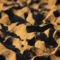 Đurđevački pijesci – hrvatska Sahara u srcu Podravine